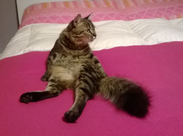 Be'? Io sono comodissima!