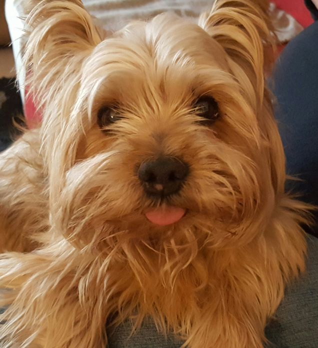 Amiamo fare la linguaccia! :P