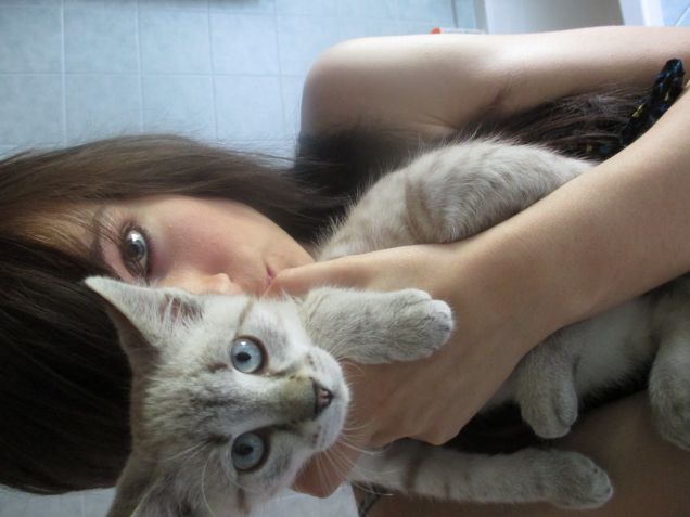 occhi celesti, pelo bianco