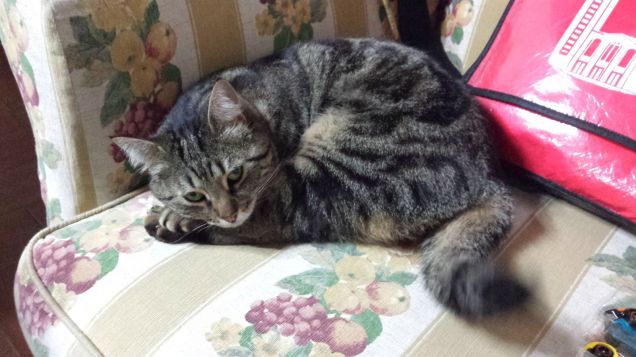 zzzzzzzzzzzzzzzzzzzzzzz