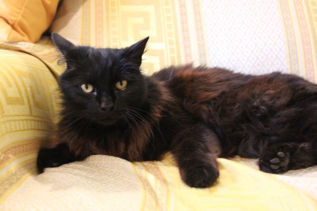 La mia principessa ❤