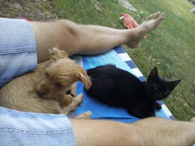 Mia e Leo i gemelli diversi...