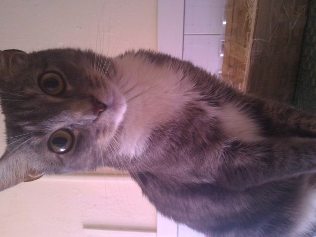 Il mio splendido Elio