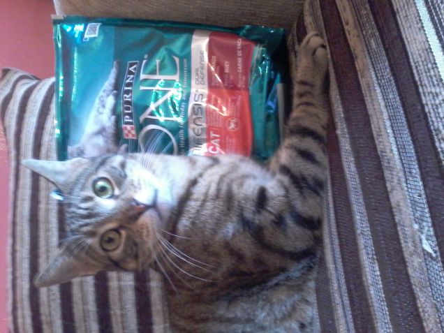 Felice di aver ricevuto il suo regalo di Natale