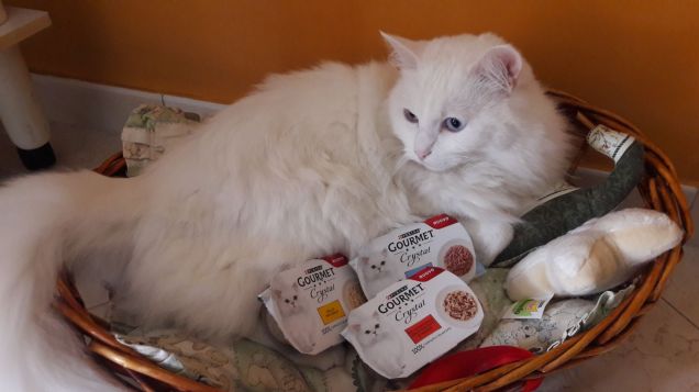 La mia cucciolina con gli omaggi :)