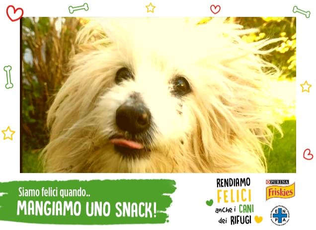 i miei primi 17 anni