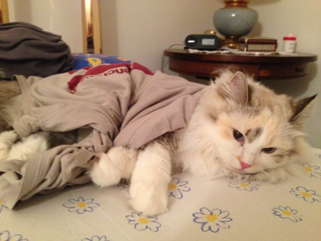 con il pigiama del babbo