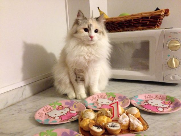 Il mio primo compleanno 