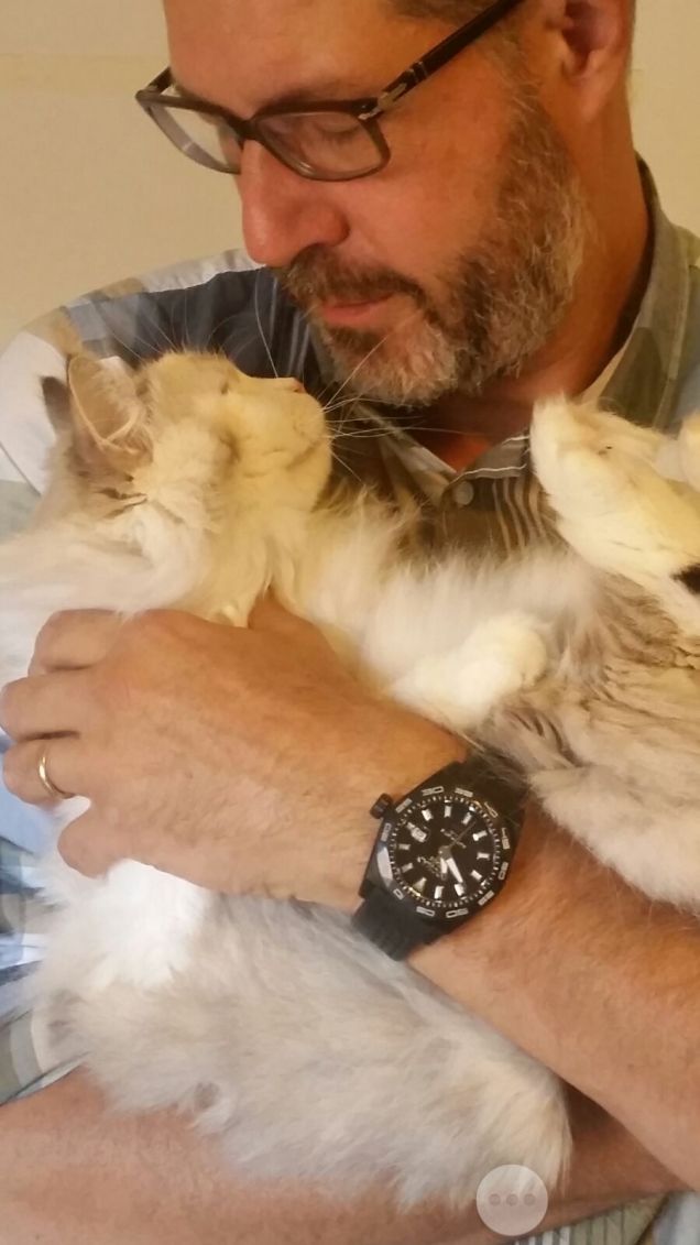 negli occhi mille parole