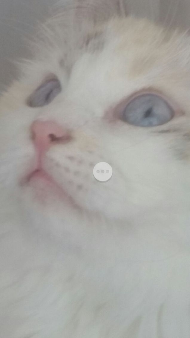 Nei suoi occhi tutta la tenerezza del mondo