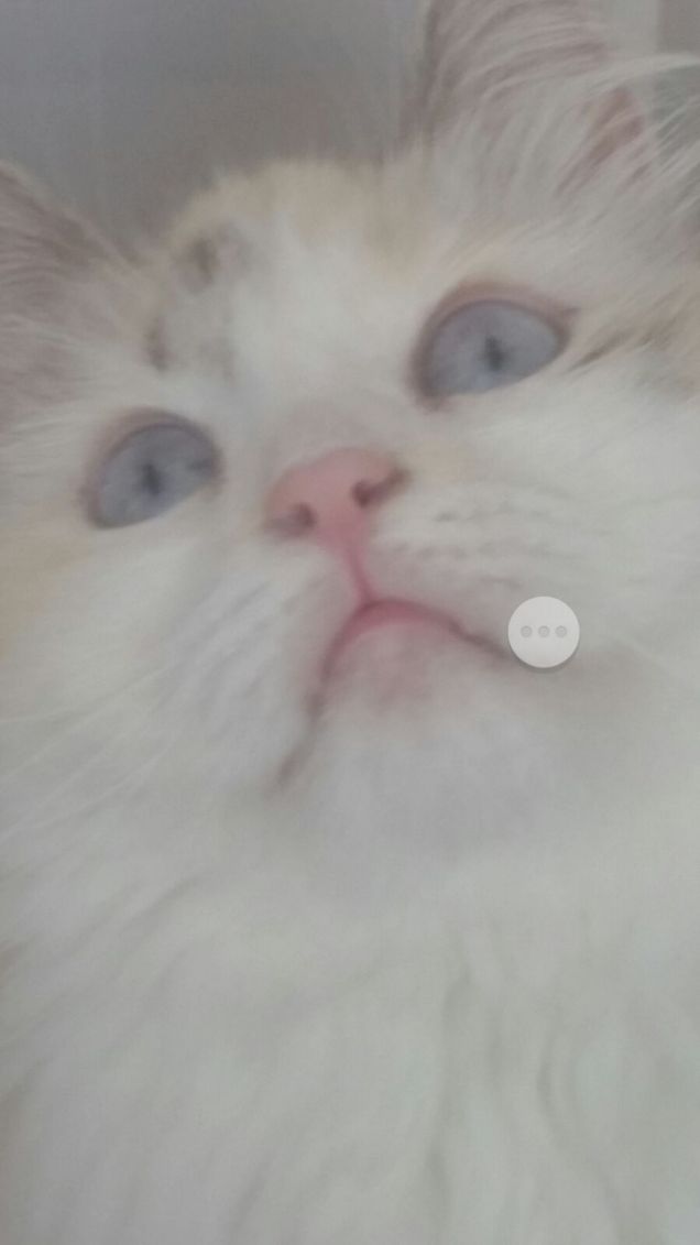 Nel tuo sguardo mille piccoli teneri sogni d amore