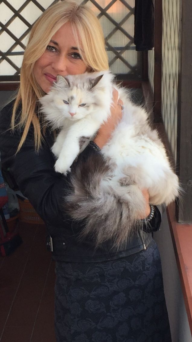 L' ora d ' aria di Arya