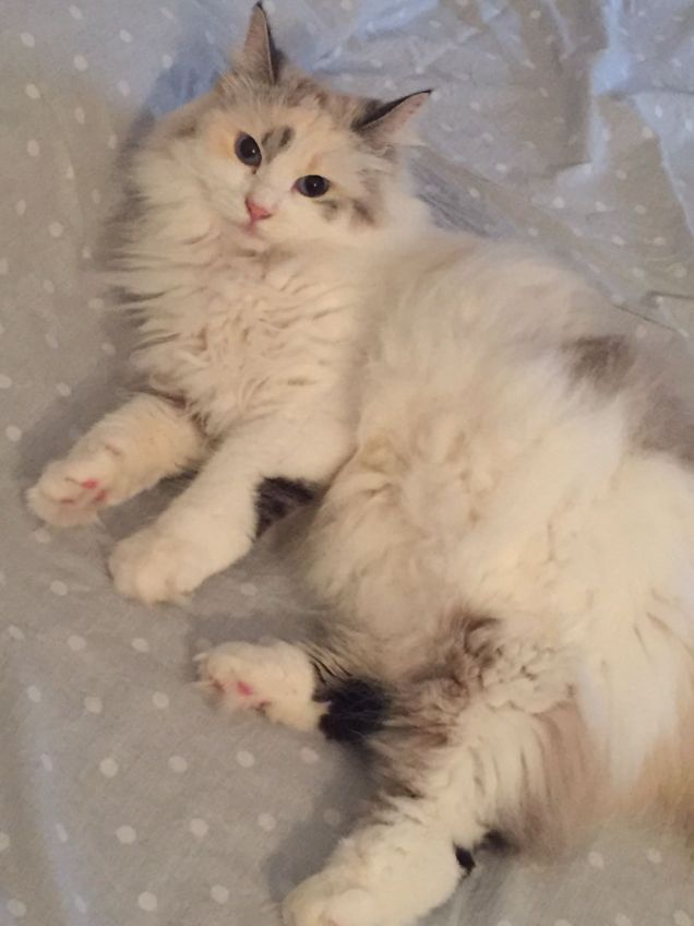 L ora della nanna nel lettone