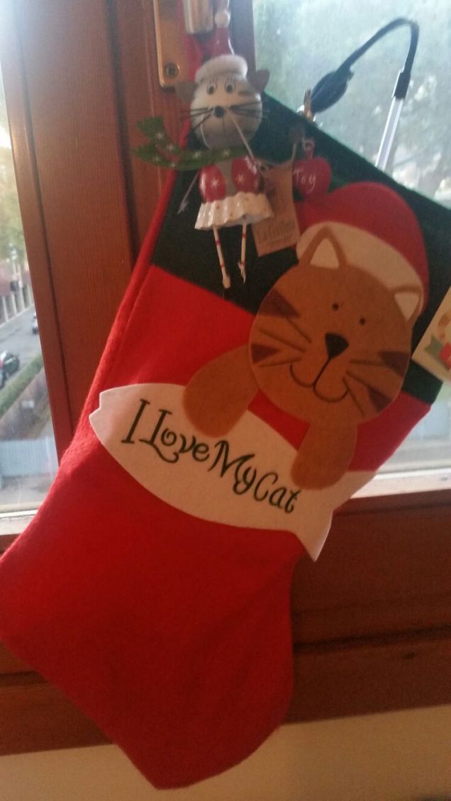 La calza di Arya...pronta!!!