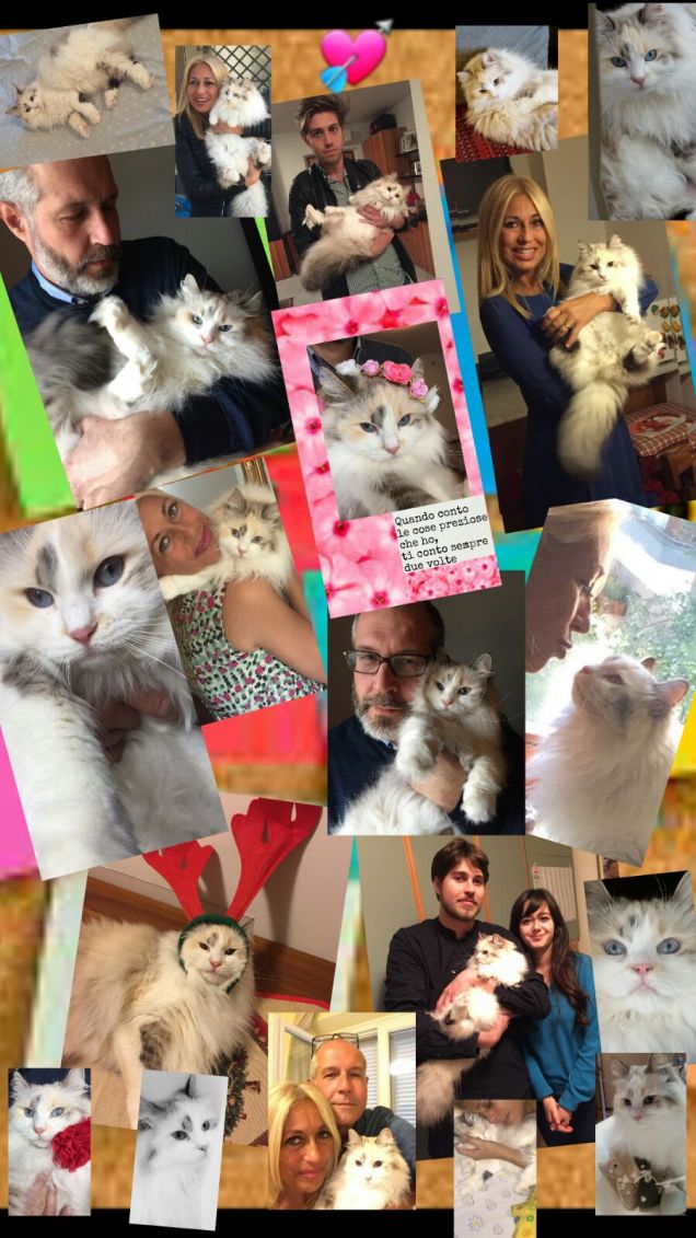 365 giorni di felicità 