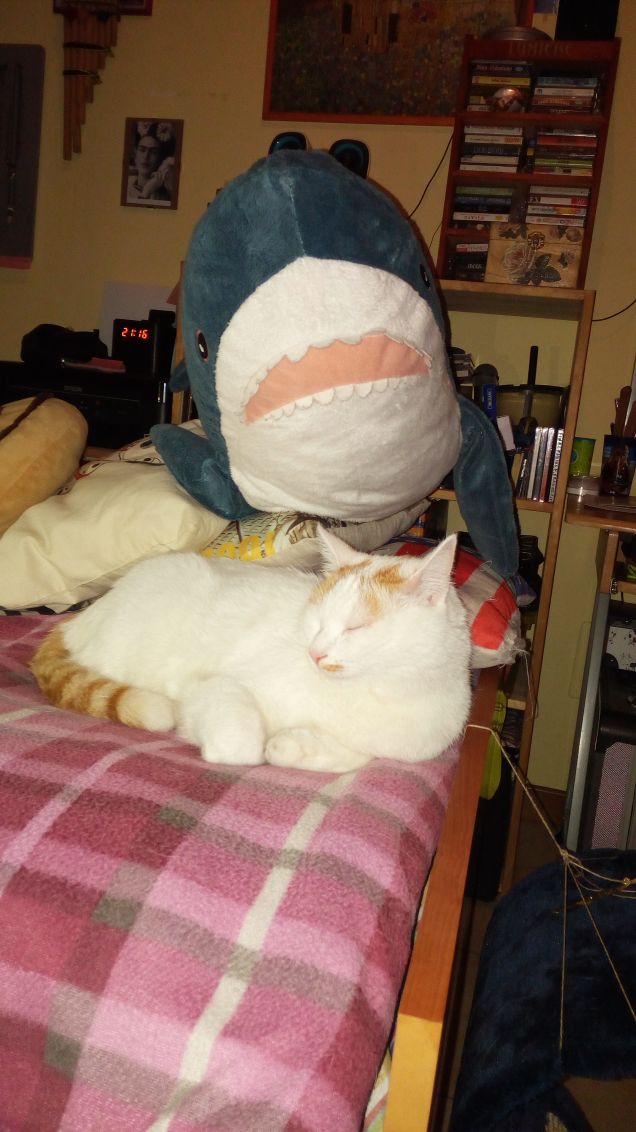 Attento c'è pasqualo  !!!