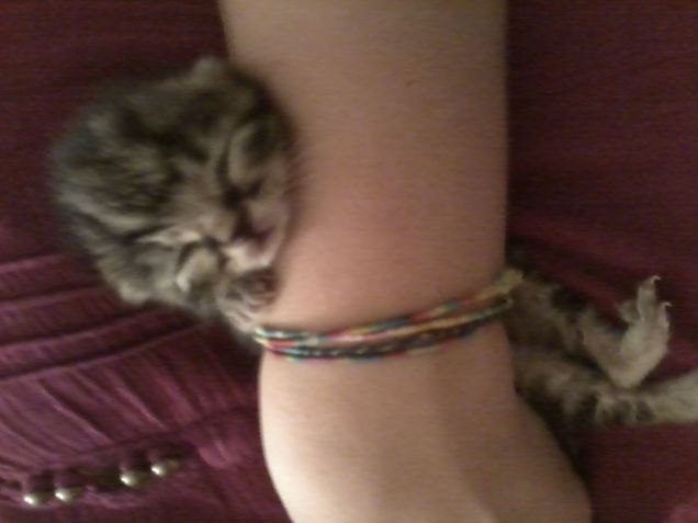 Da poche settimane eri nato *_*