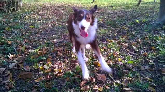 PISTAAAAAAA........ Sto arrivandoooo!