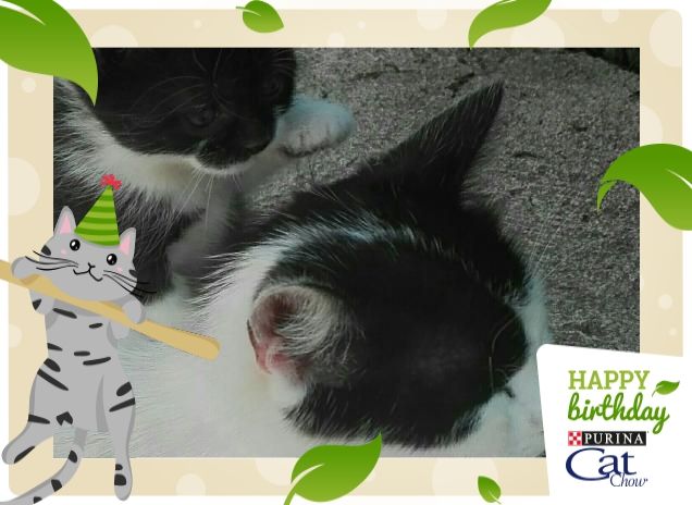 Giochiamo insieme? ^_^