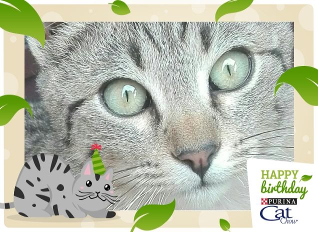 Gli occhioni verdi di Gino *_*