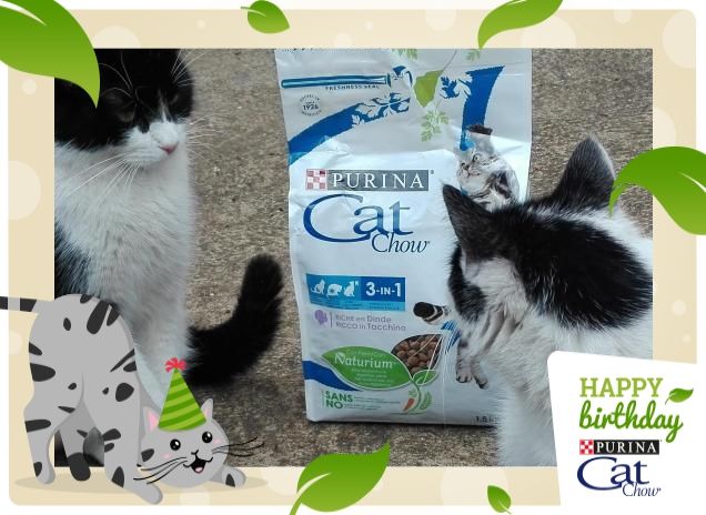 Auguri da Zorro e Zoe