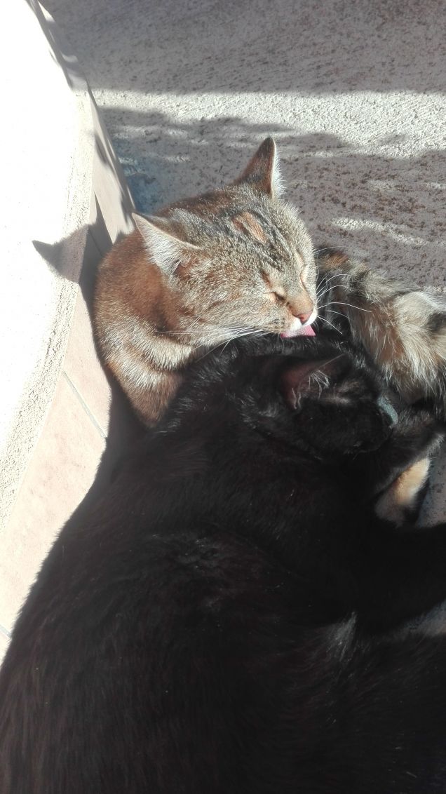 Ti voglio tanto bene!