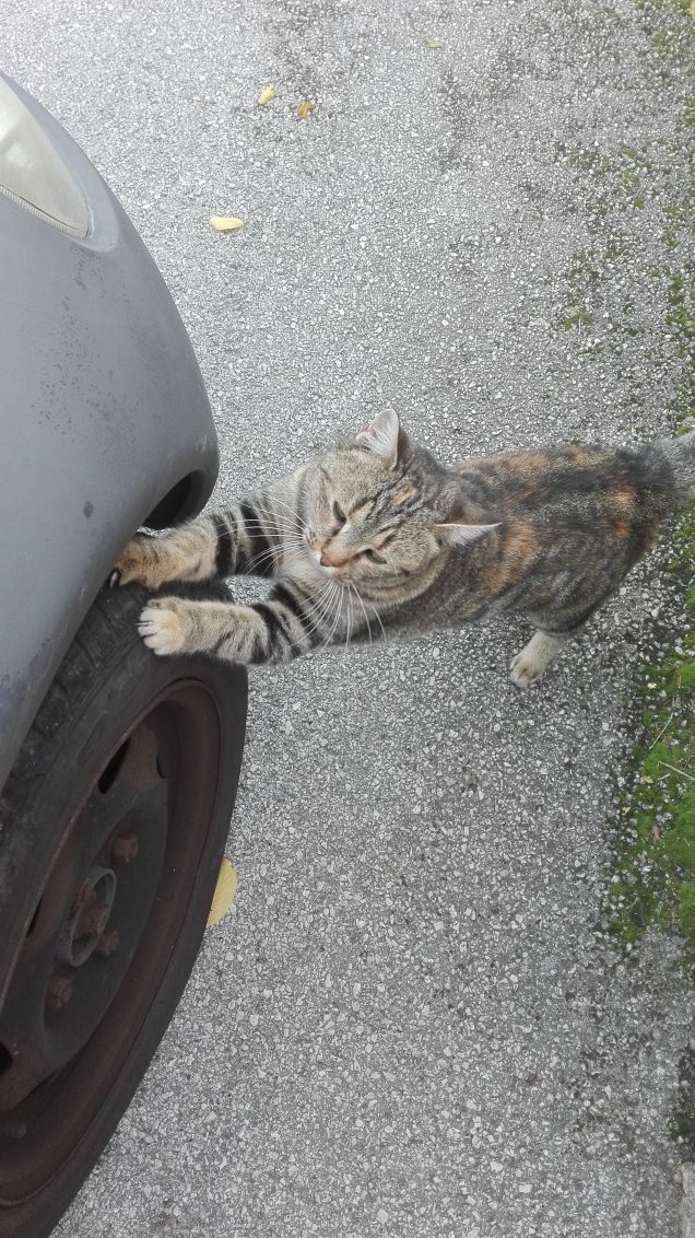 Mi faccio le unghie...