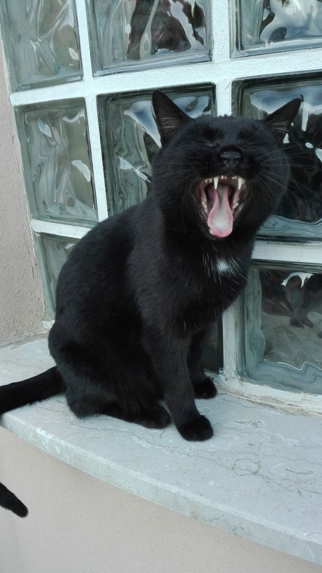 Buongiorno...anzi buonanotte!