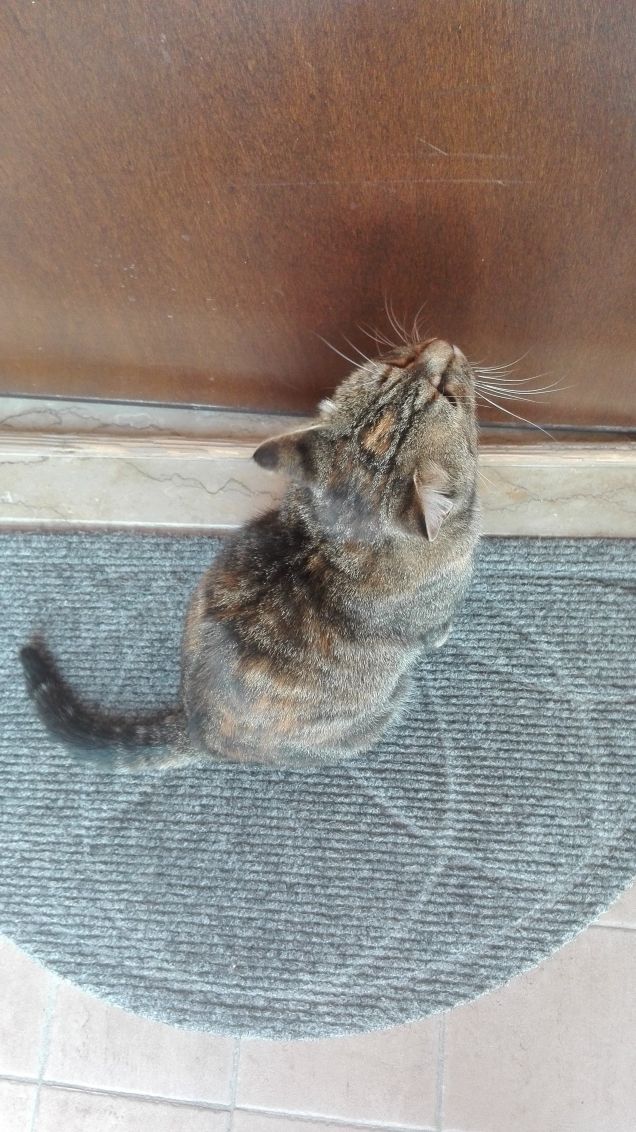 Aprite quella porta!