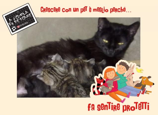 Luna e i suoi cuccioli