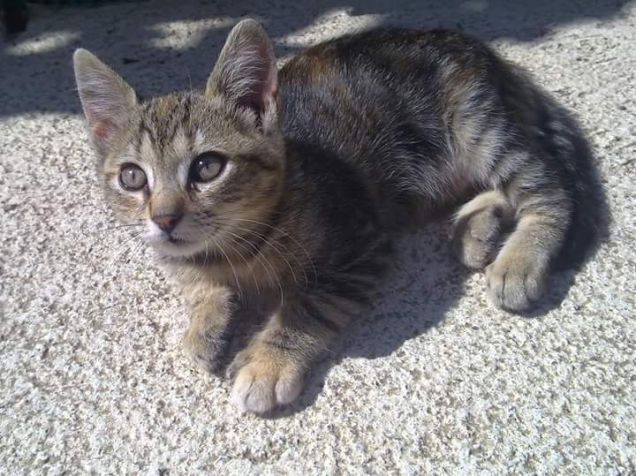 Ciotolina da piccola