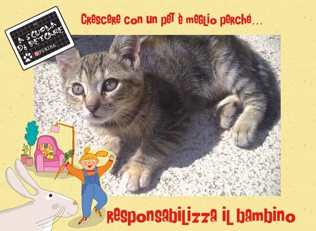 Ciotolina da cucciola