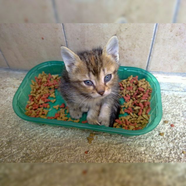 Ciotolina da piccola