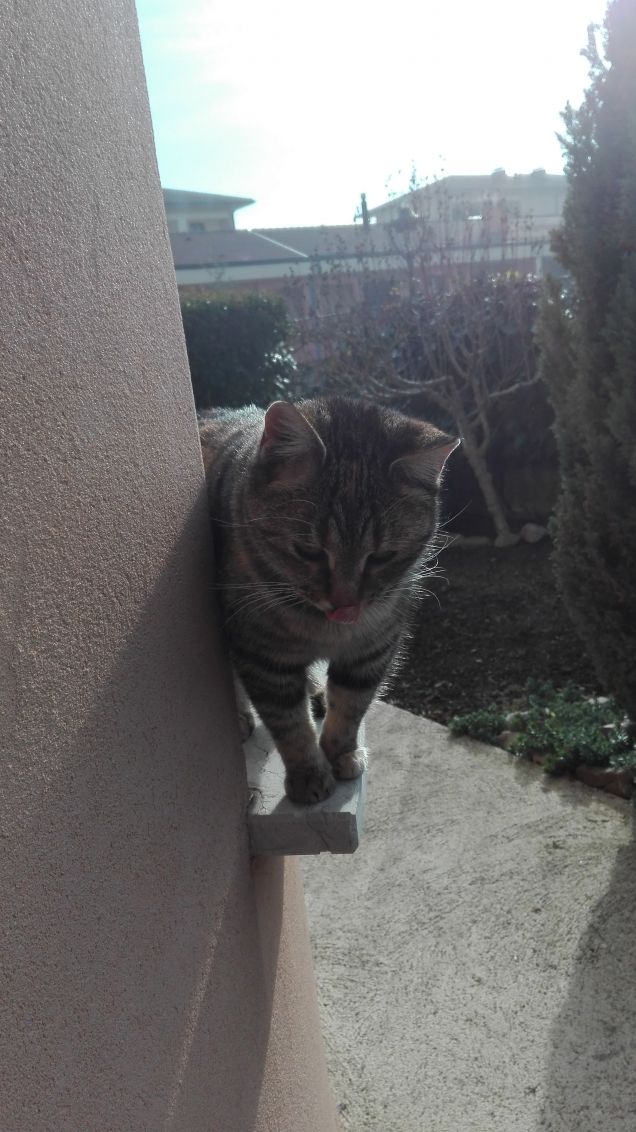 Mi tocco il naso con la lingua