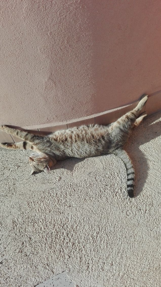 Un po' di stretching