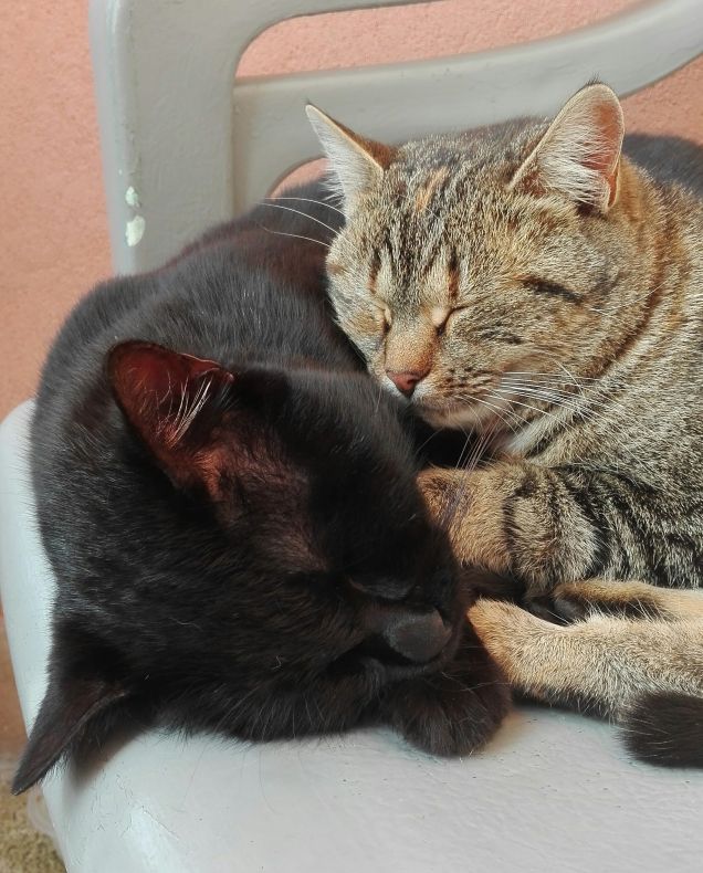 Amore infinito