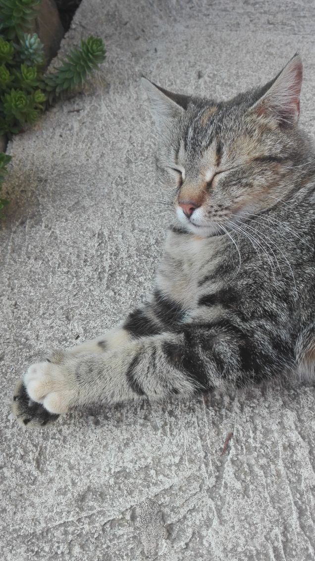 Dopo la pappa ci vuole un riposino