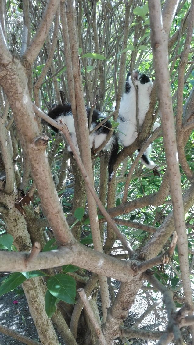 Da poco arrivati a casa mia