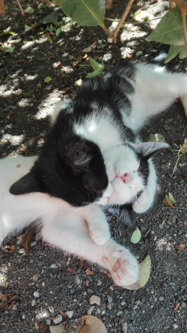 Noi ci vogliamo tanto bene ❤