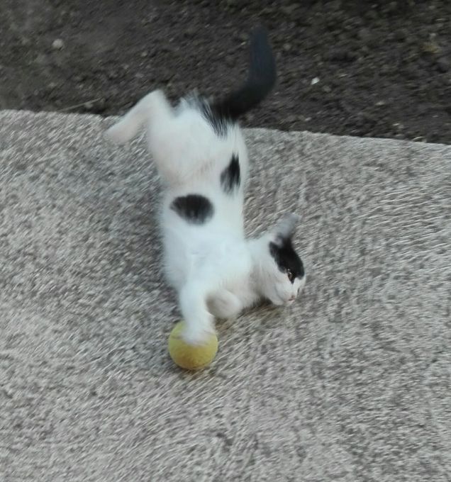 Ballerina di break dance