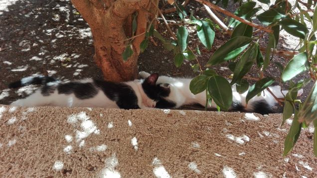 Dormiamo testa a testa