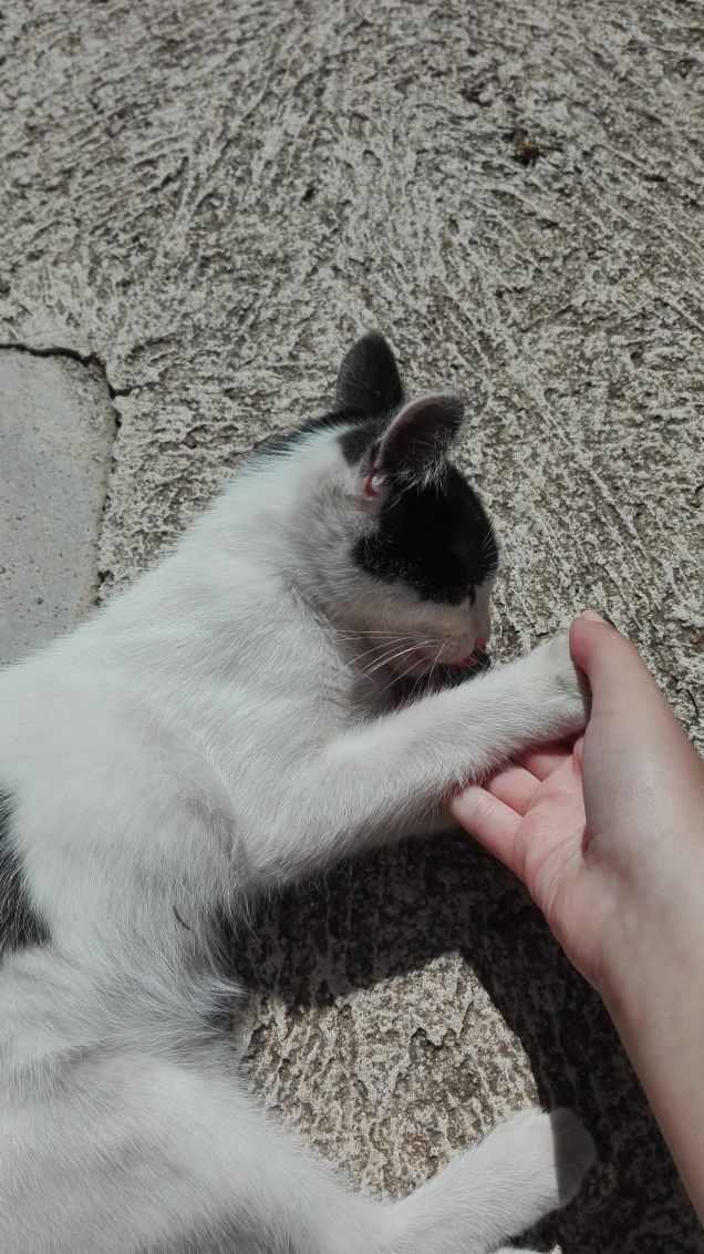 ❤