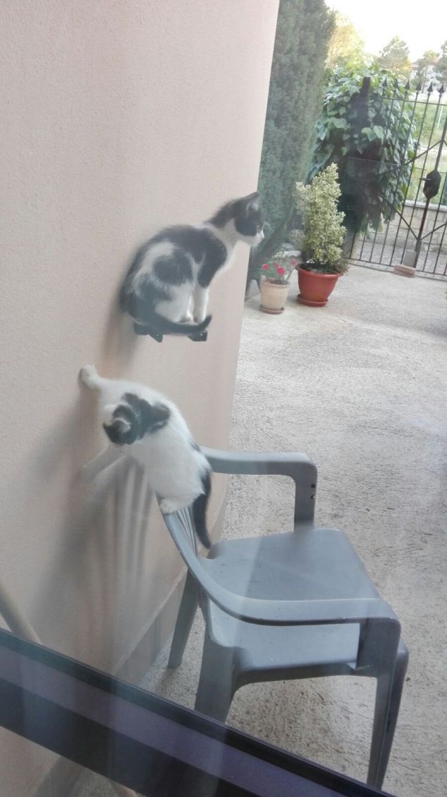 :)