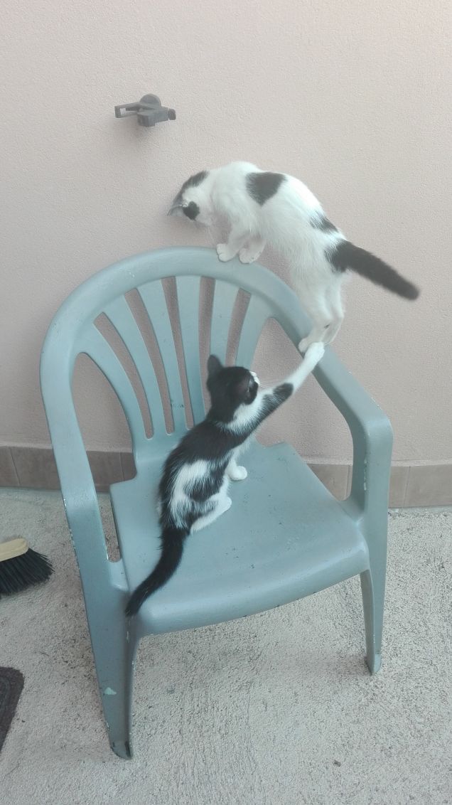 Ma dove vai?!
