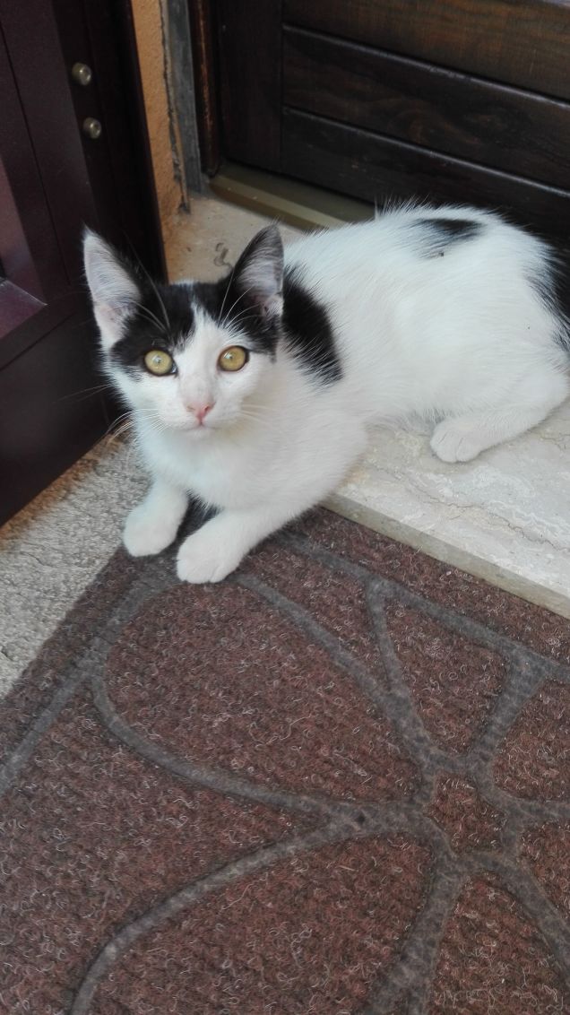 Zoe