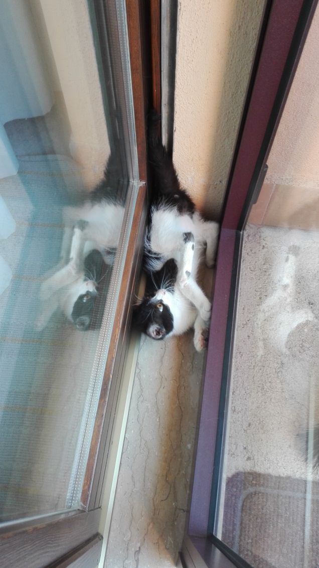 Che fai? :)