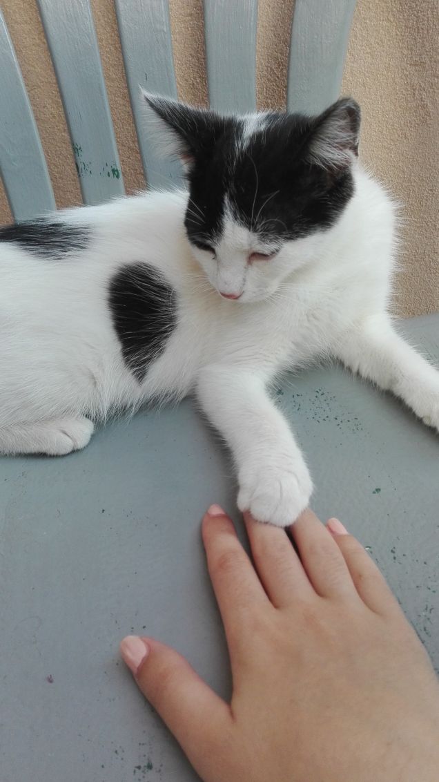 Con la tua mano mi sento sicura