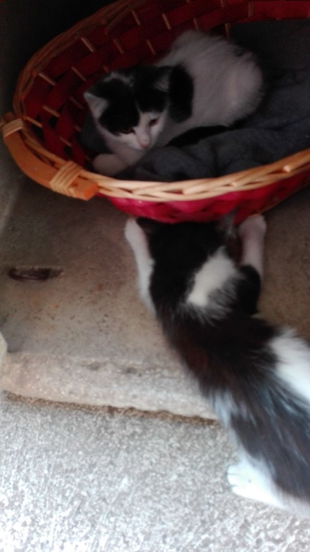 Nella nostra casetta