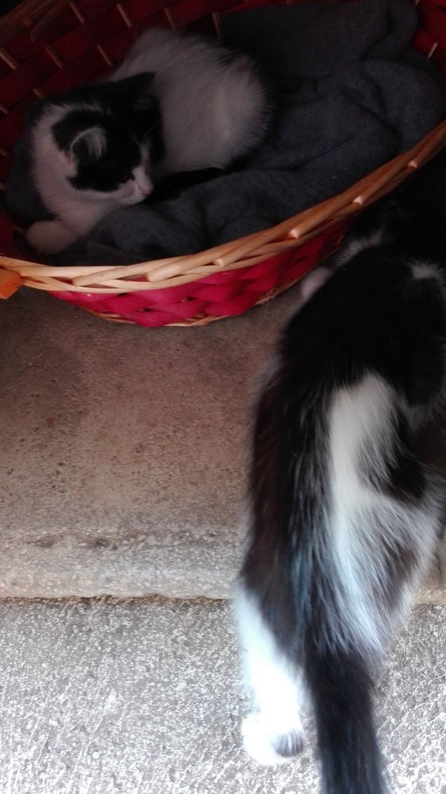 Nella nostra casetta