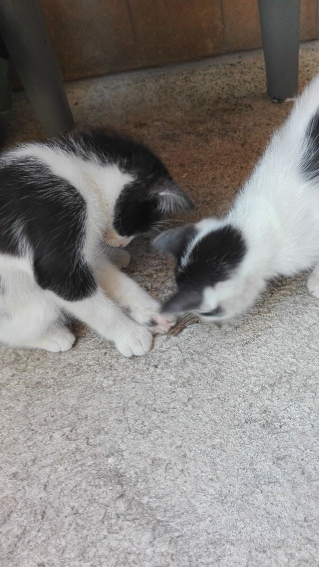 Mamma guarda ti abbiamo fatto un regalino